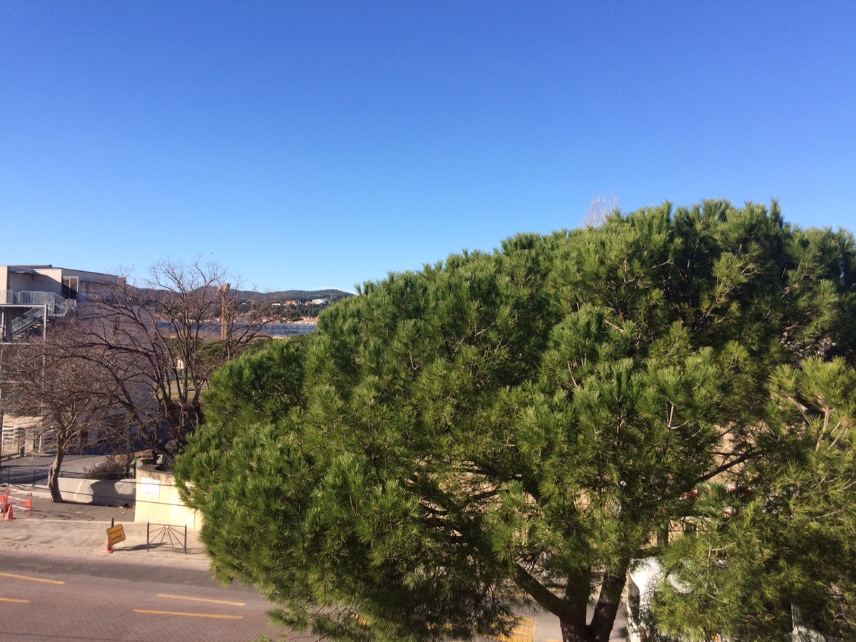Location Appartement La Ciotat Location Appartement La Ciotat